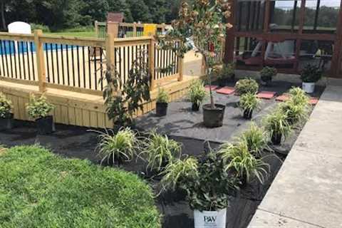 DIY Landscaping around a pool and deck