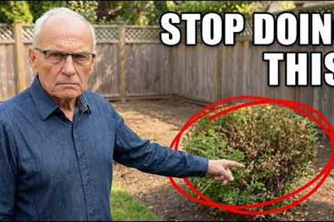 My 14 Most Valuable Landscaping Tips for ANY Garden