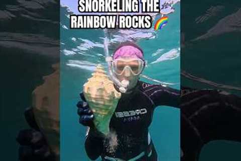 such a cool, colorful dive right off the beach 🪸 #ocean #diving #underwater