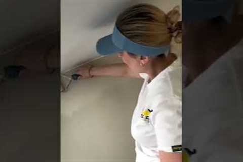Why a Good Painter Can Make or Break Your Home Project (Contractor Explains) #paintingcompany #home