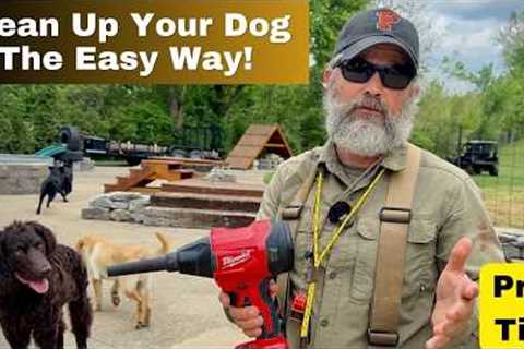 Clean Ticks &amp; Allergens Off Your Dog The Easy Way!