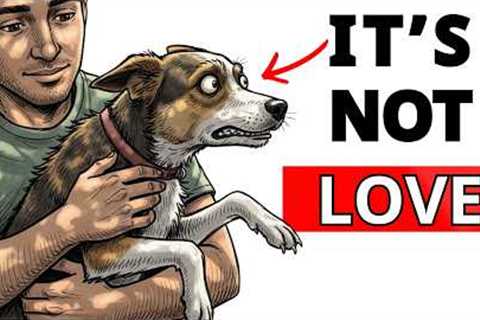 STOP Doing This To Your Dog! (You Are Destroying Their Nervous System)