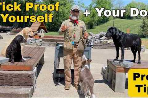 Tick Proof Yourself &amp; Your Dog | A Professional Field Guide