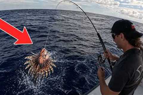 I Found this fish FLOATING AND ATE IT! *Catch &amp; Cook*