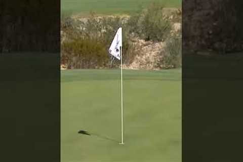 Donald Trump ALMOST Hole-In-One😂
