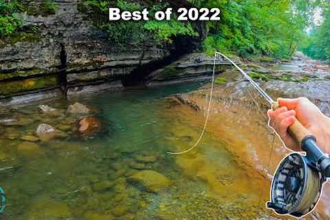THE BEST FLY FISHING / TROUT FISHING VIDEO!! (Best of Compilation - 2022)
