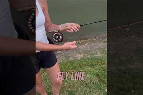 5 things you need to start fly fishing #fishing #bassfishing #flyfishing #learning #fish #outdoors