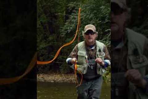 Dry Fly Fishing Advice!