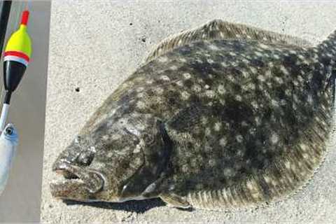 Fluke on a Bobber?! Single Jig vs Jerkbait vs Bobber Rig for Flounder