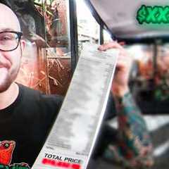 Reptile Room Tour | This is How Much It Costs