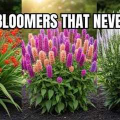15 Best LONGEST Blooming Perennial Flowers 🌼 Rare Perennials for Nonstop Color Until Frost