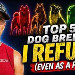 Top 5 Dog Breeds I Refuse to Own (Even As A Pro)
