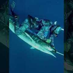 We fought together swordfish for over an hour. #fishing #spearo #ocean  #fish #spearfishing  #shorts