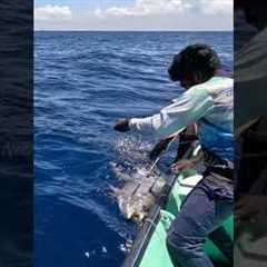 Catching 97kg Yellowfin Tuna Using Live Rosy Snapper Fish