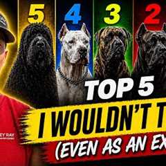 Top 5 Dog Breeds I Wouldn’t Touch (Even As An Expert)
