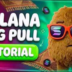 Looking at a Solana Meme Coin Launch | Rug Pull Whisper