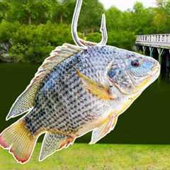 Fishing with Livebait for Pond MONSTERS!