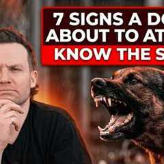 7 Signs A Dog Is About To ATTACK! (And How To Avoid It!)