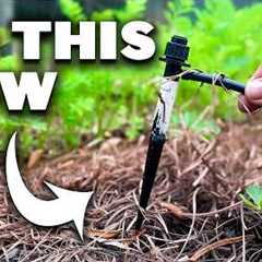 7 Things Smart Gardeners Do That Beginners Don't