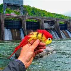 48 Hours Hunting the Most Dangerous Fish in West Virginia!! (Fly Fishing for Musky)