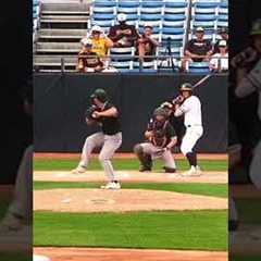 Ball or Strike?#baseball #homerun #viral #fyp