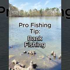 3 Bank Fishing Tips #fishing #bankfishing #fishingtips #pondfishing