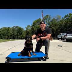 LIVE PUPPY TRAINING & GIVEAWAY!