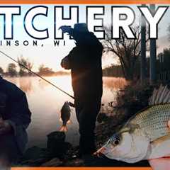 White Bass Fishing Never Gets Old + Giant Walleye