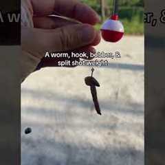 Catch More Fish with This Simple Worm & Bobber Setup!