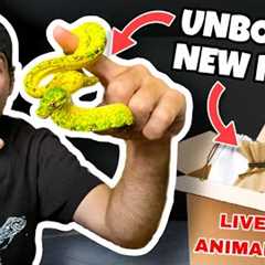 UNBOXING NEW EXOTIC PETS ! WHAT DID WE GET ?!