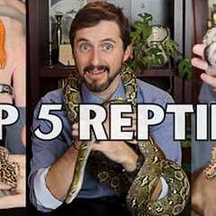 Top 5 Reptiles For Beginners