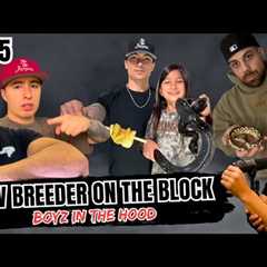 Things Worth Knowing About The Ball Python Game... Elite Secrets! | NBB Boyz In The Hood (Live)
