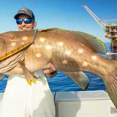 Massive Grouper & Cobia under Huge Oil Rig (Catch Clean & Cook)