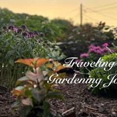 Top 5 Gardening Lessons I Wish I Knew Sooner 🌿🌺Ep94