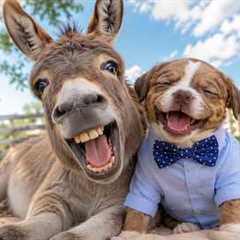 You Won’t Believe These Animal Odd Couples Exist - Cutest Unlikely Friendships EVER! 😍🤣