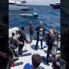 Scuba Diving, Hurghada, Red Sea, Egypt Direct Tours from Rodney K. 🇪🇬