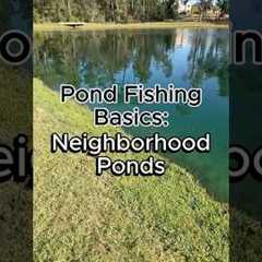How to Fish a Neighborhood Pond #bassfishing #fishing #fishingtips #pondfishing