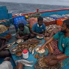 Surviving Days in the Deep Sea 🌊🔥 Catch, Cook & Eat Adventure