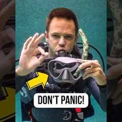 Scuba mask fell off? Don’t panic, do this!