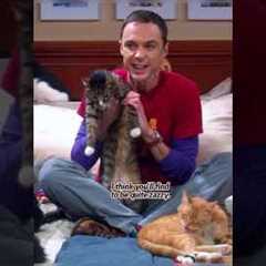 Mom used her wisdom to mend Sheldon's emotional rift