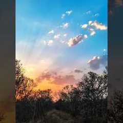 Creative Photography I Tips & Tricks with Phone using Pro Mode 📸 I Mobile Photography Hacks🔥
