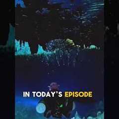 😮 NEW EPISODE with a CAVE DIVE Under a City in Indonesia! #cavediving #scubadiving