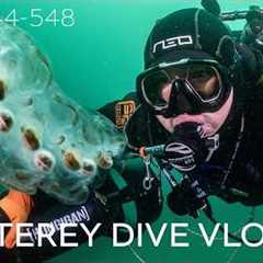 SCUBA Monterey Dive Travel Vlog - Monterey, CA, 2026 - 4k