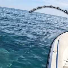 GIANT Bluefin Tuna Fishing Goes Horribly Wrong