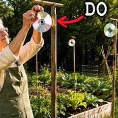 40 Must-Do Garden Tips in May That Will Double Your Harvest This Year