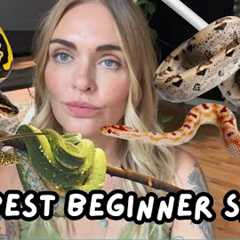 Best Snakes for Beginners & New Keepers