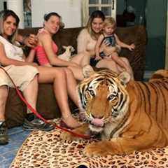 Living With Tigers: Family Share Home With Pet Tigers
