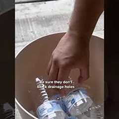 Why You Should Fill Flower Pots With Empty Water Bottles