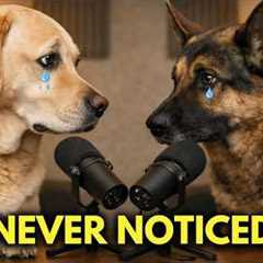You’re Ignoring What Your Dog Is Really Telling You.. And It Shows.
