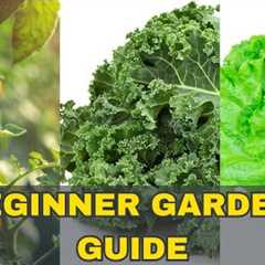 Easy HOME Gardening for Beginners Now | Gardening Tips | Golden Garden Living